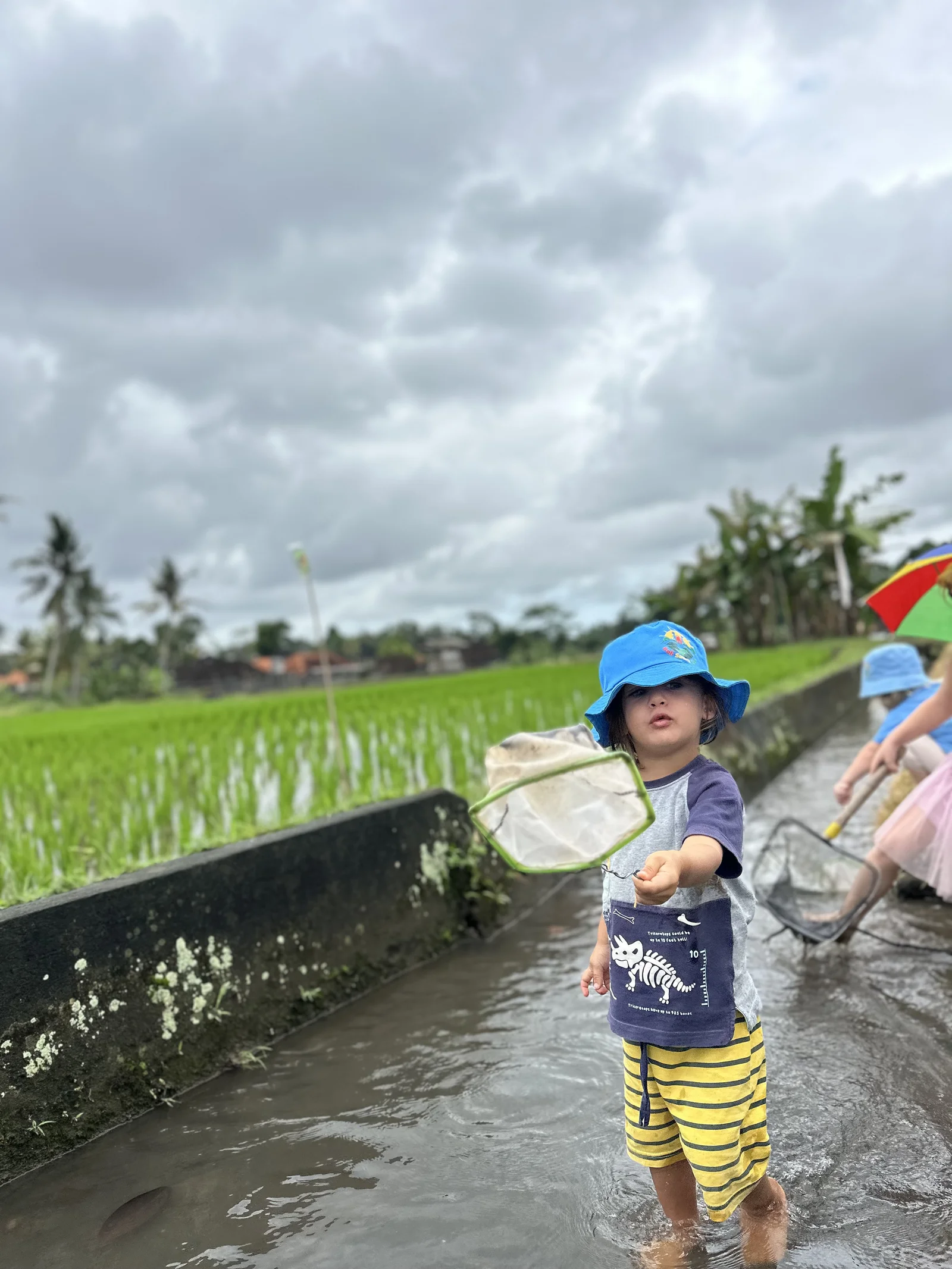 Sunny Kids Moment 100